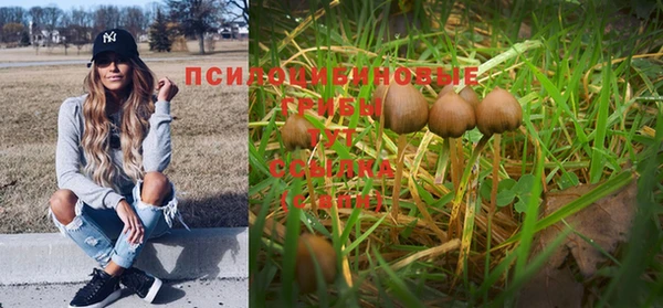 прущая мука Алзамай