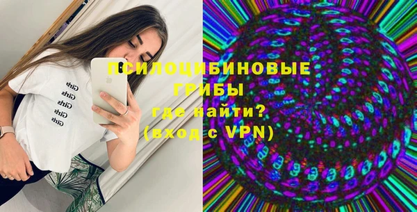 сатива Абинск