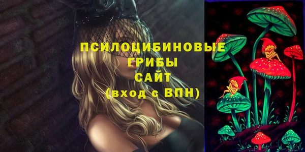 сатива Абинск
