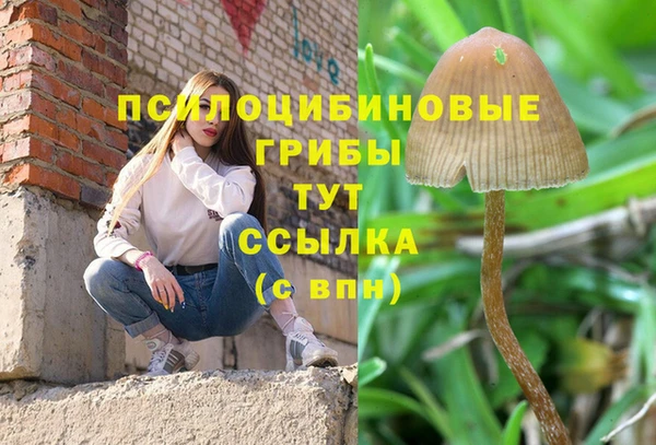 трава Алексин