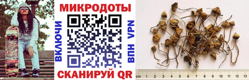Псилоцибиновые грибы GOLDEN TEACHER  Безенчук 